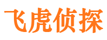 江阳市私家侦探公司